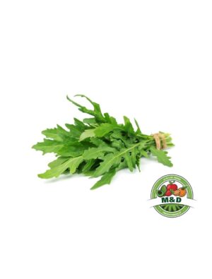 Rucola